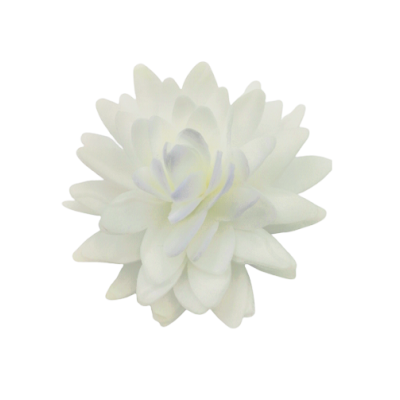 Ostya őszirózsa fehér