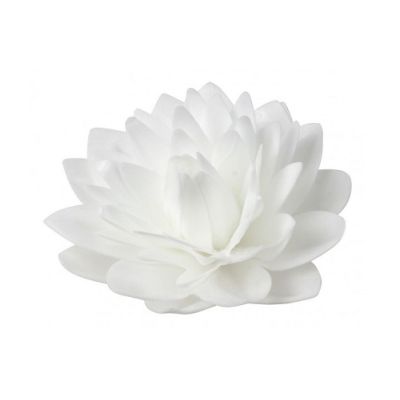 Oblaten-Dahlie Maxi weiß 12,5 cm