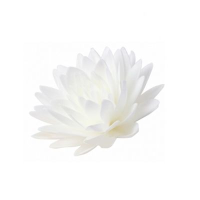 Wafer Astra maxi weiß