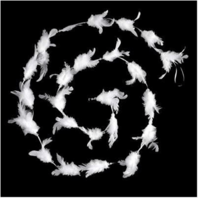 Girlanda peří bílé 2 m