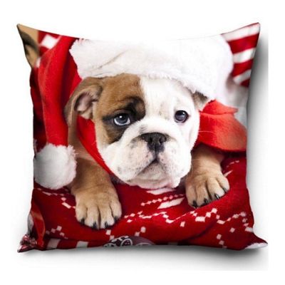 Obliečka psík s čiapkou III 40x40 cm