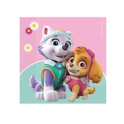 Skye and Everest green-pink napkins 20 pcs