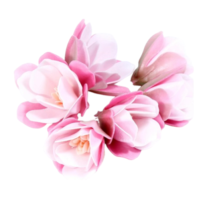 Oblátková magnólia ružová 6 ks