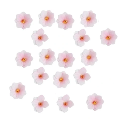 Waffelhortensie weiß-rosa