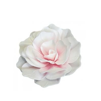 Waffelrose Maxi Pastell Weiß-Rosa