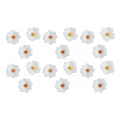 Waffelhortensie weiß