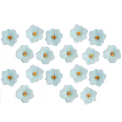 Waffelhortensie weiß-blau