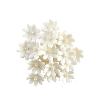 Weißes Gänseblümchen 20 Stk