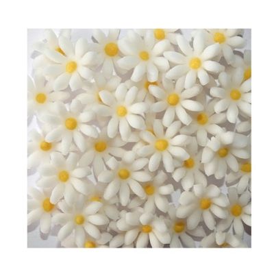 Weißes Gänseblümchen 10 Stk