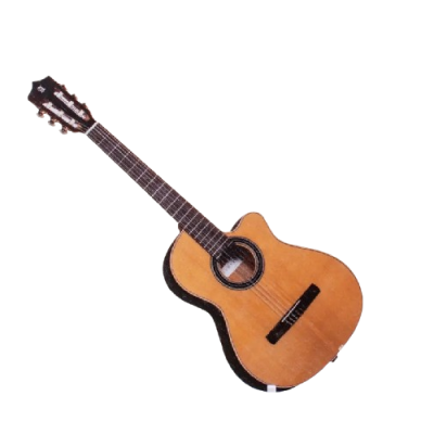 Scratch - braune Gitarre
