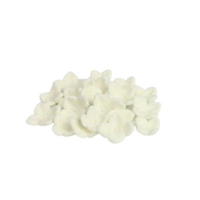 Weiße Zuckerhortensie