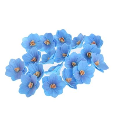 Blaue Waffelhortensie