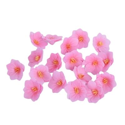 Rosa Oblatenhortensie