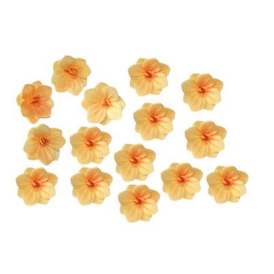 Gelbe Oblatenhortensie