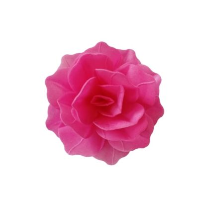 Chinesische Oblatenrose Maxi Fuchsie