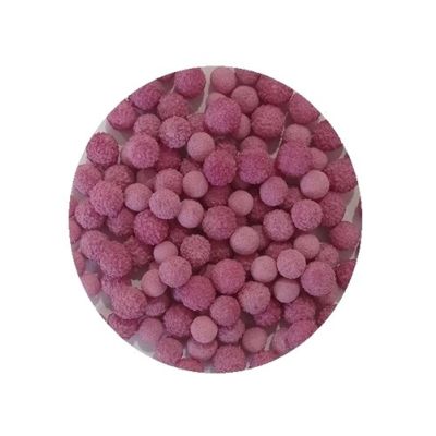 Mimosa Fuchsia Perlen 40 g