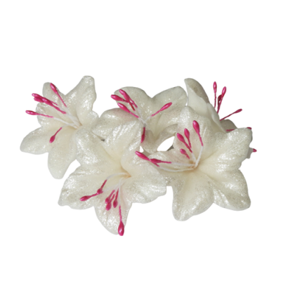 Zuckerblume weiß-rosa 5 Stk