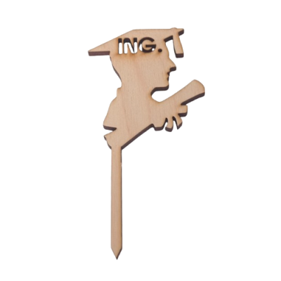 Abschluss Holzstich Ing. - Herr.