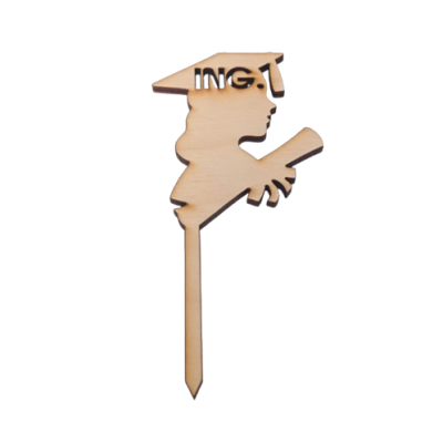 Abschluss Holzstich Ing. - Frau