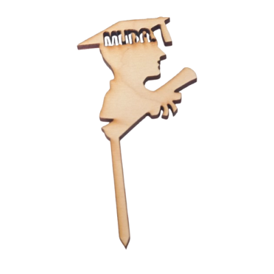 Abschluss-Holzstich MUDr. - Herr.