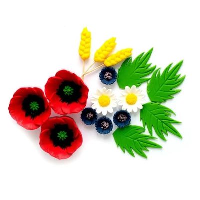 Blumenset - roter Mohn, Gänseblümchen, Kornblume und Blätter