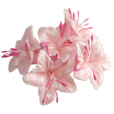 Zuckerblume rosa 5 Stk