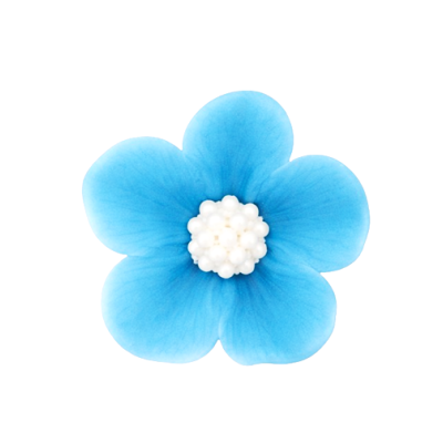 Nezábudka svetlomodrá