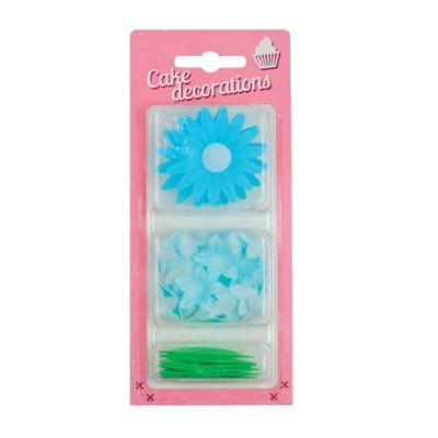 Blaues Gänseblümchen + Blätter