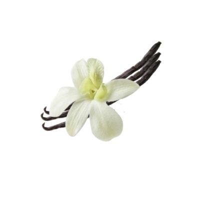 Vanília ízesítő paszta 200g