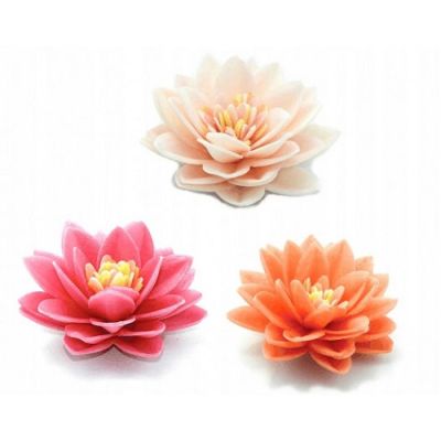 Waffel-Lotusblütenmischung