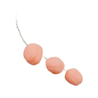 Knospen bündeln sich auf einem Drahtlachs