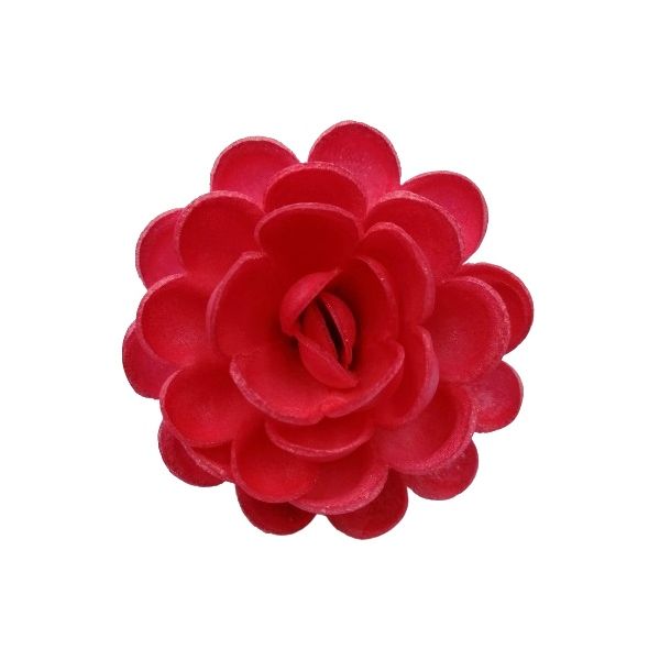 Waffle rose English large red