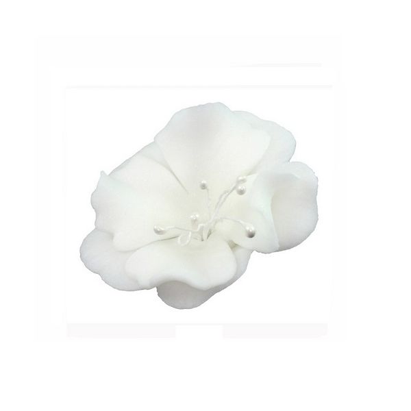Small white magnolia