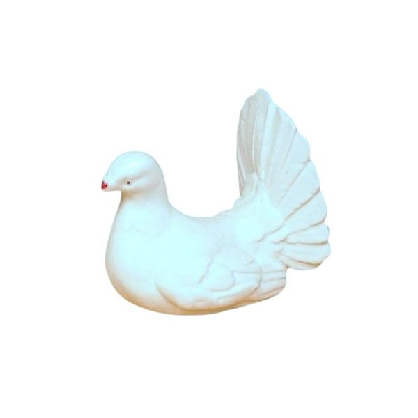Holoubky bílé velké