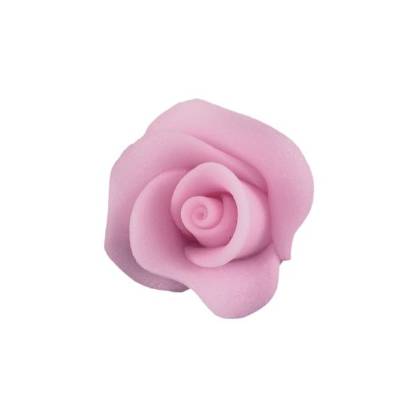 Medium pink rose