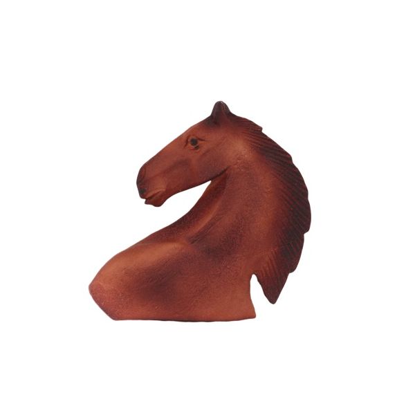 A horse