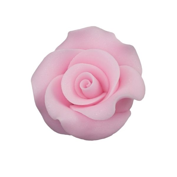 Rose large L pink