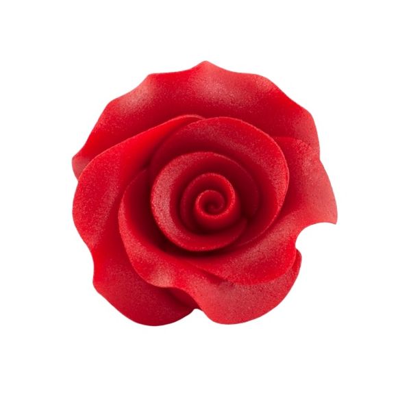 Rose large L red