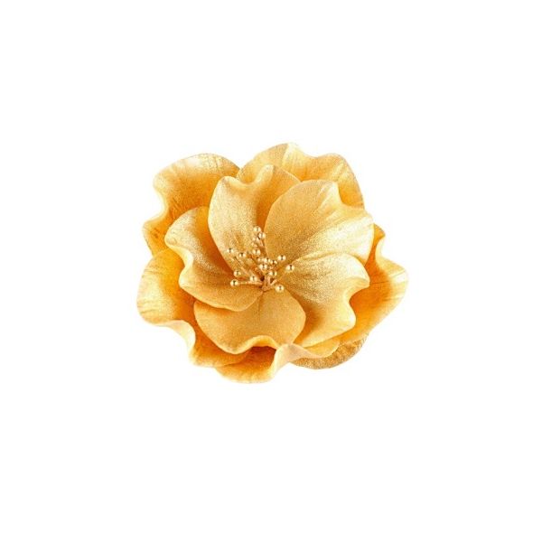 Eustoma malá zlatá Eustoma malá zlatá