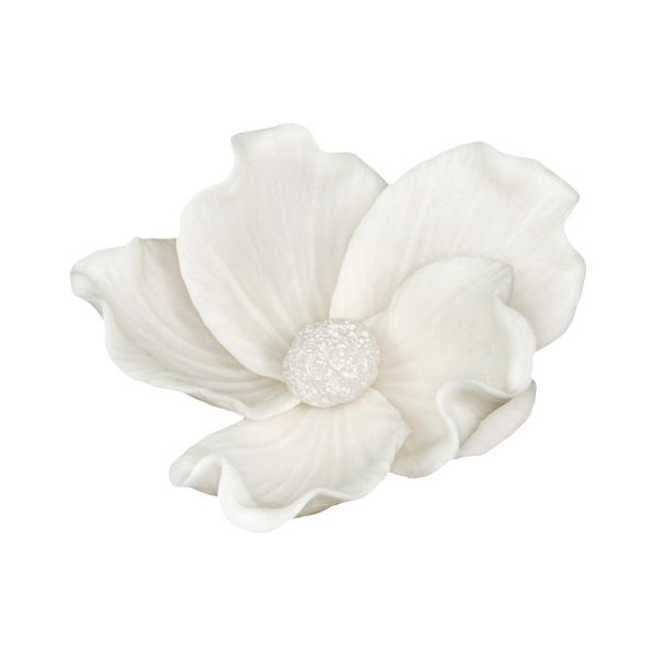 Divoká ruža biela