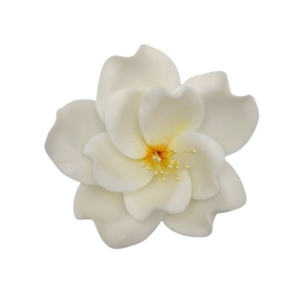Eustoma bílá
