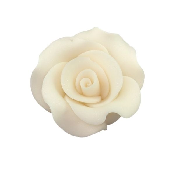 Large L cream rose