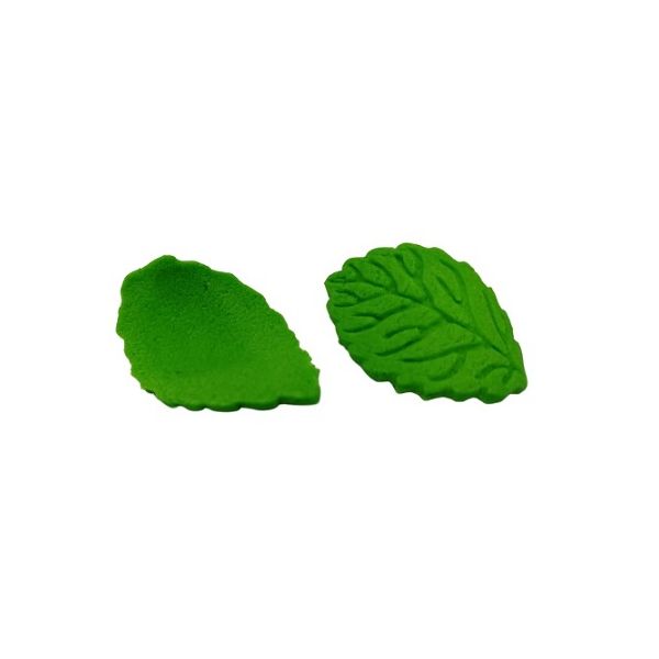 Medium green leaf