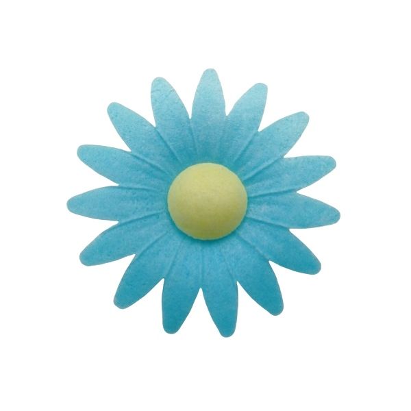 Wafer daisy blue