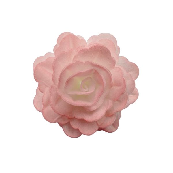 Wafer rose Chinese large pink shaded