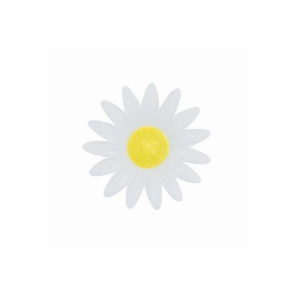 White wafer daisy