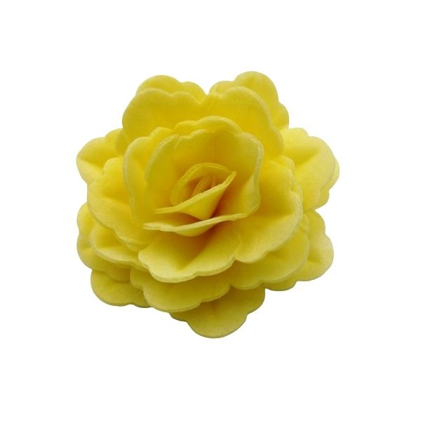 Wafer rose Chinese large yellow