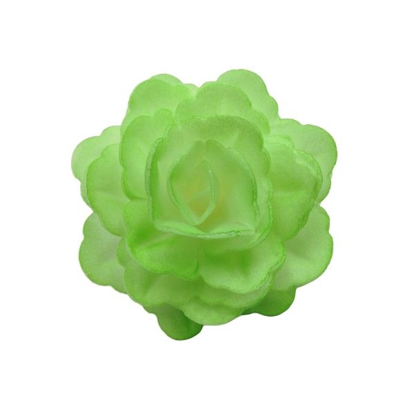 Oblátková ruža čínska veľká zelená tieňovaná