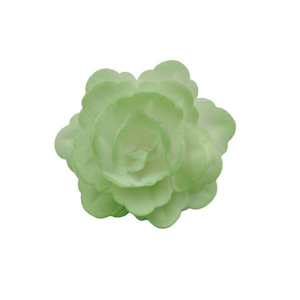 Oblátková ruža čínska stredná zelená tieňovaná