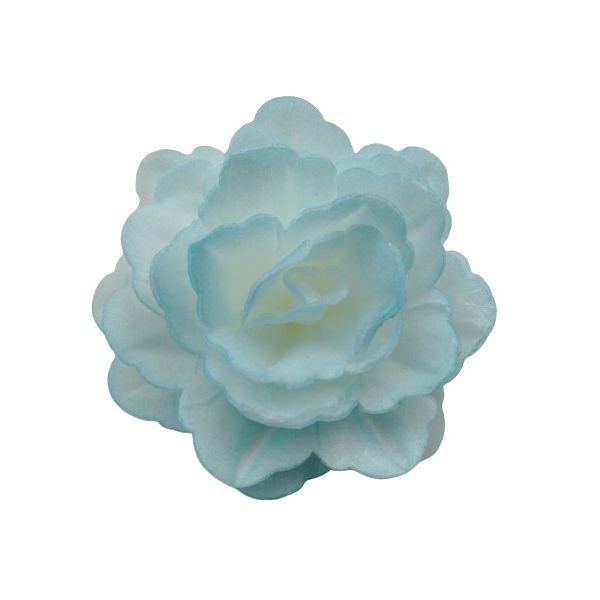 Waffelrose Chinesisch groß blau schattiert